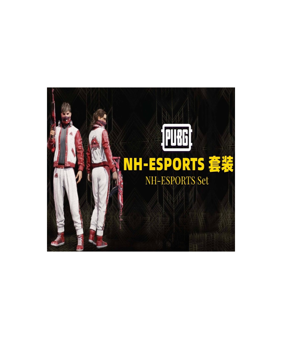 PUBG - NH-ESPORTS Set DLC Digital Steam Key GLOBAL